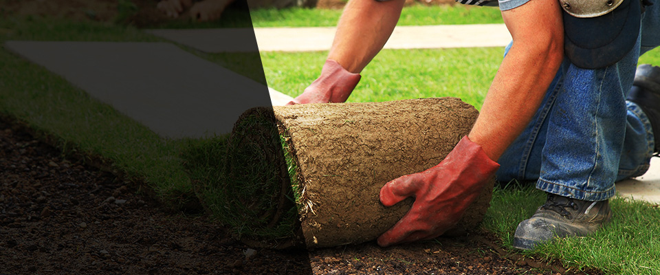 Zeeland Landscapers
